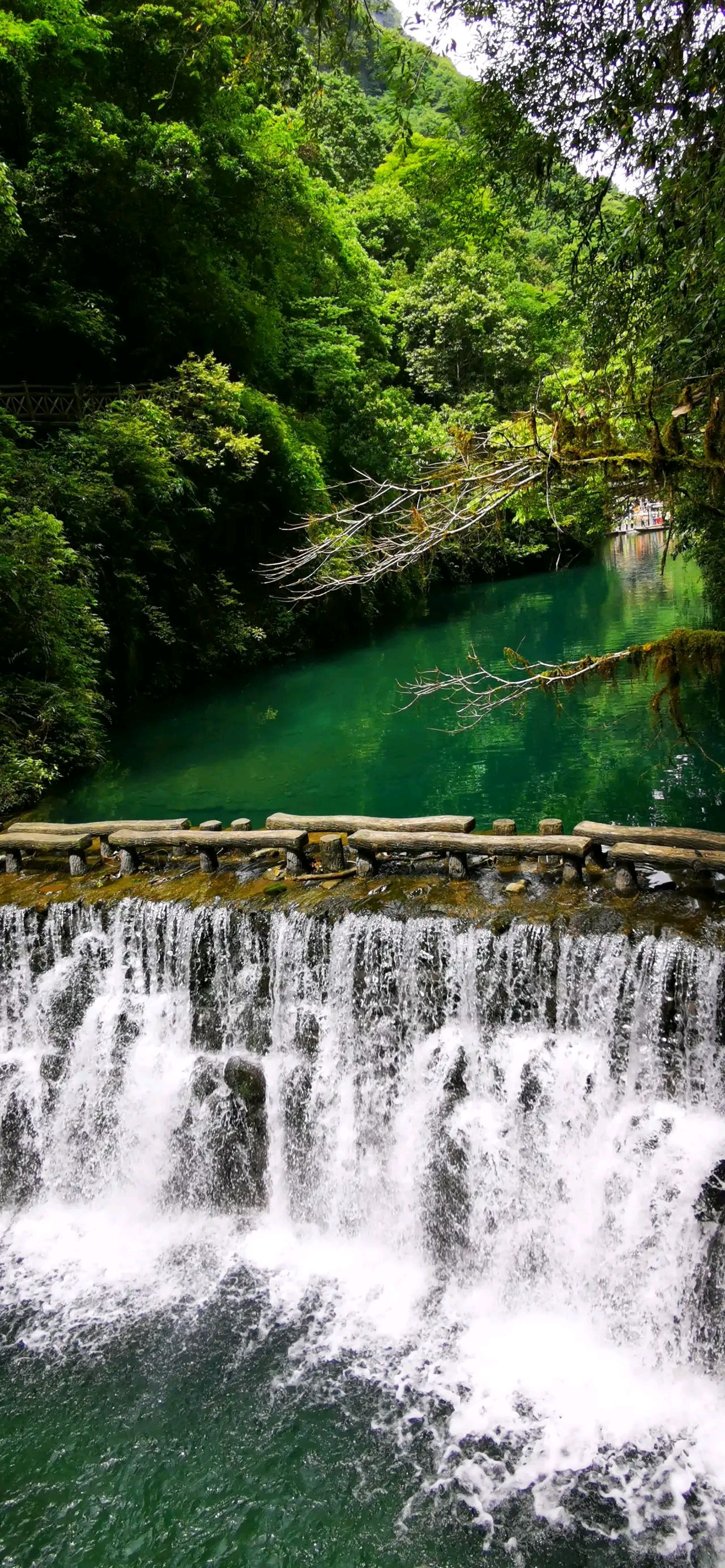 湖北鹤峰屏山峡谷风景图片