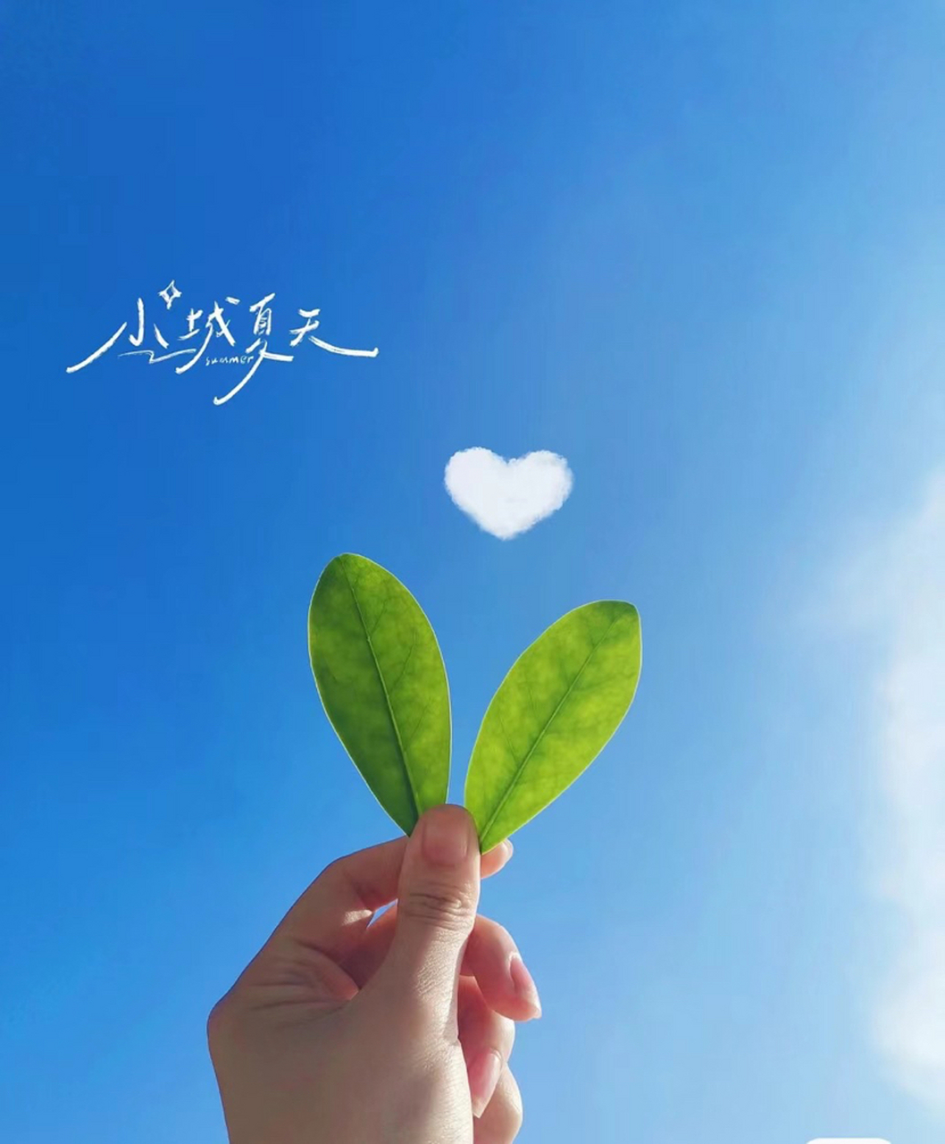 好状态,才有好风水 好心情,才有好运气 又开启美好的一天 早安96