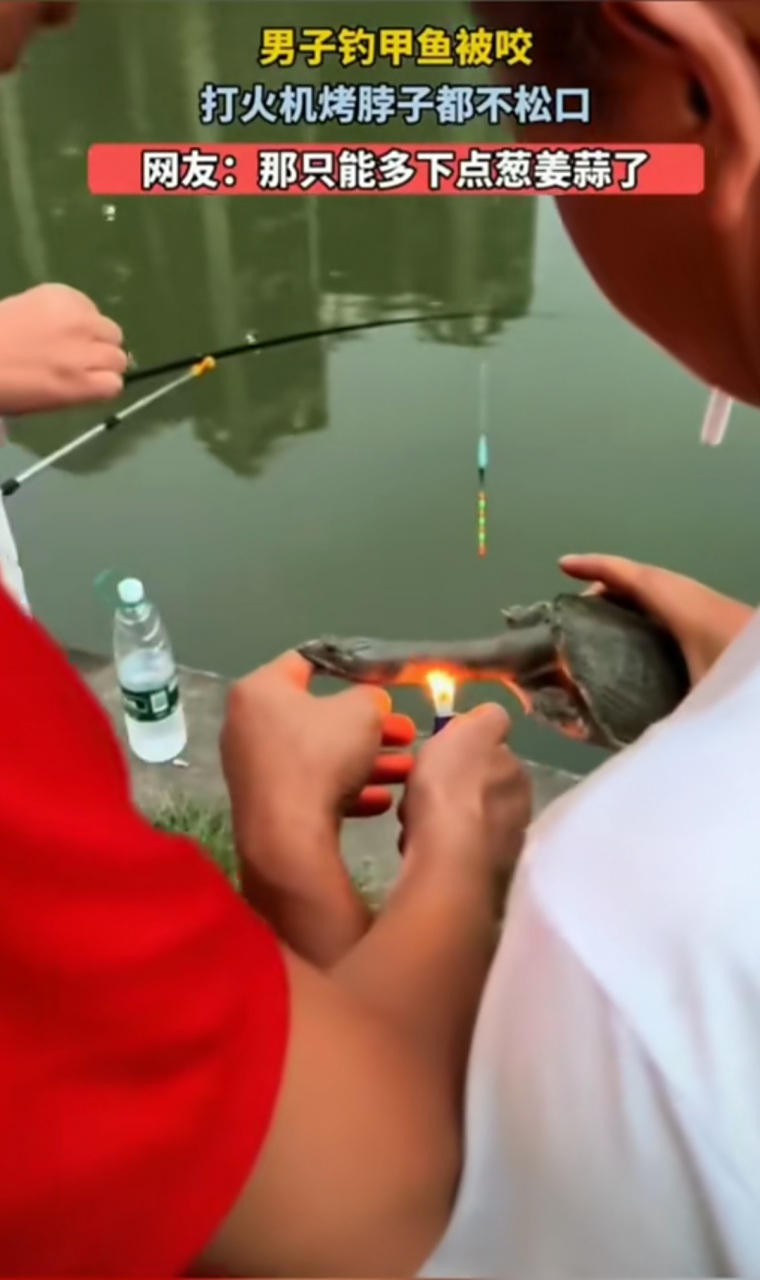 甲鱼咬住了怎么才能松口?