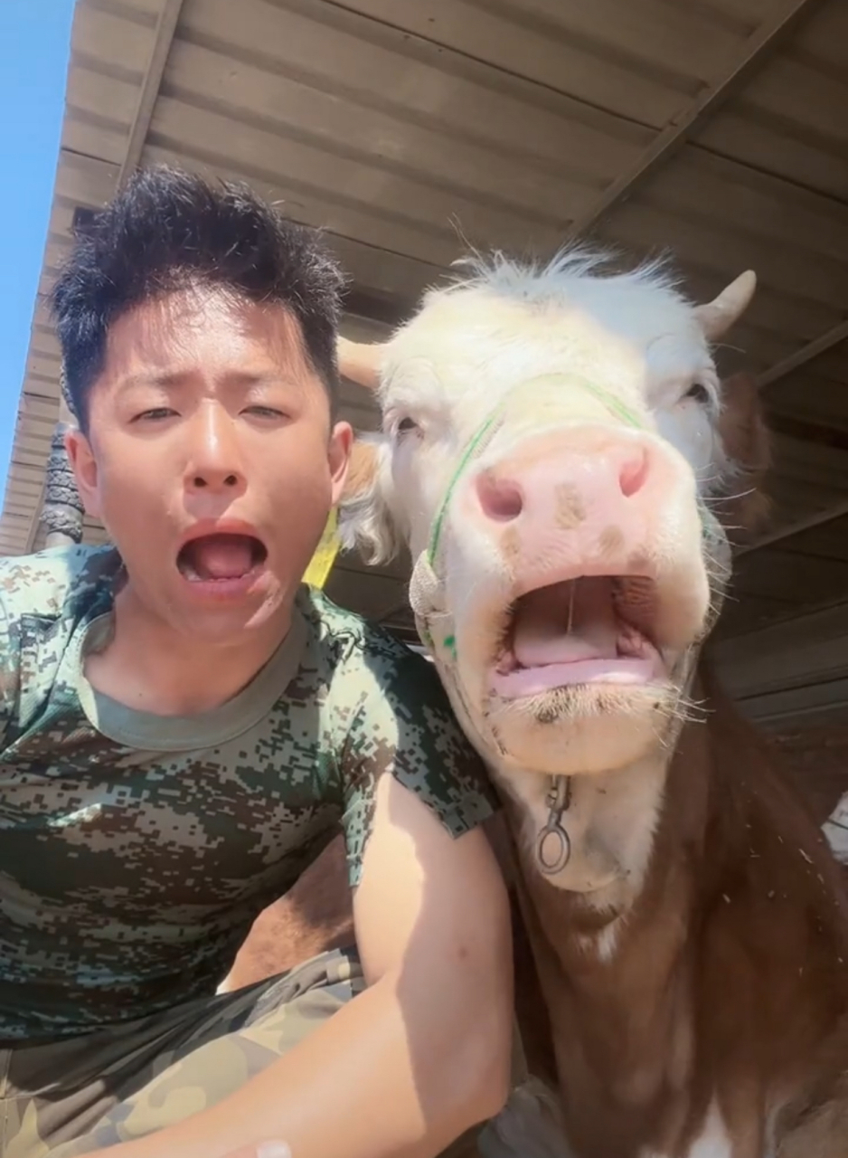 这个人学牛反刍,结果还火了.