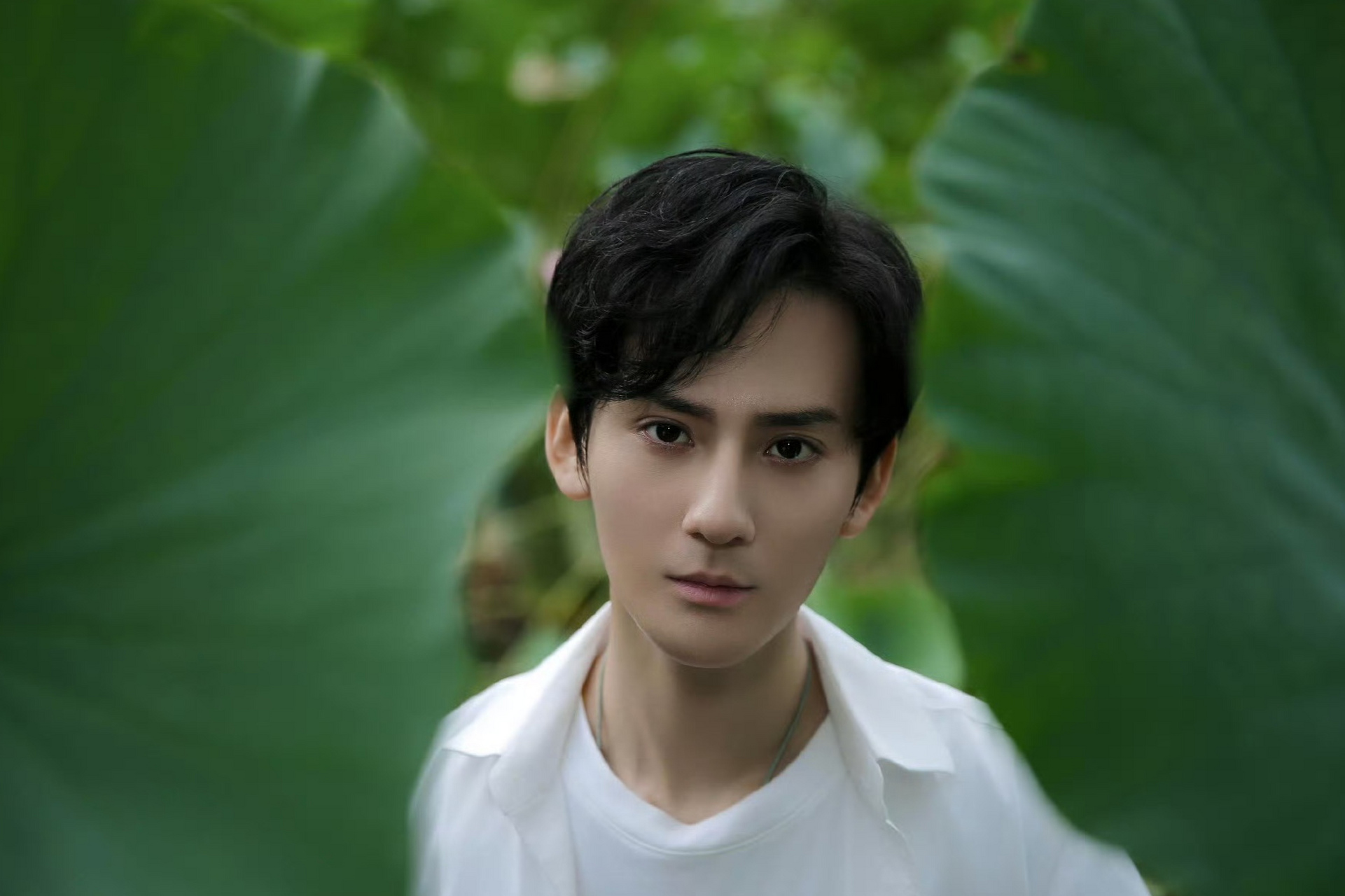 展云飞赵文浩#莲花楼