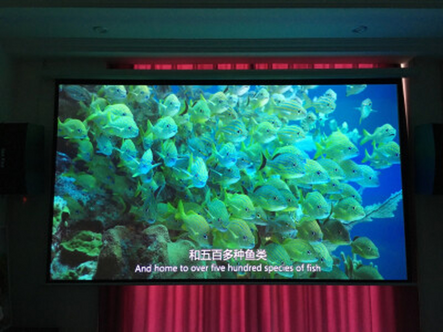 明基tk800和wp1710区别,明基w1700s跟tk800区别  【个人认为明基tk800