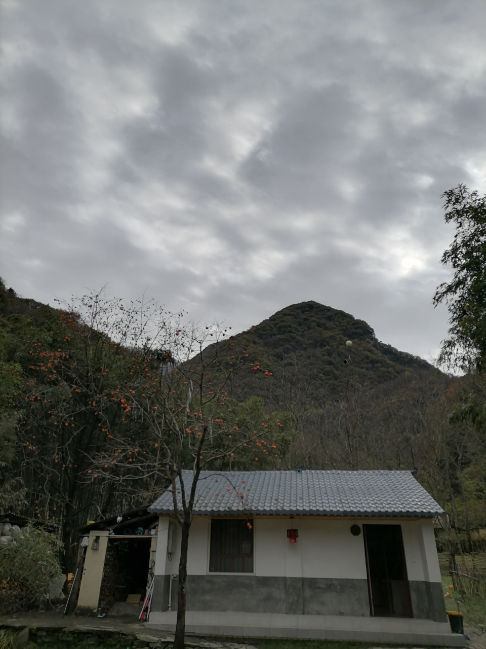 终南山隐士易经大师的清雅小院#终南山隐士