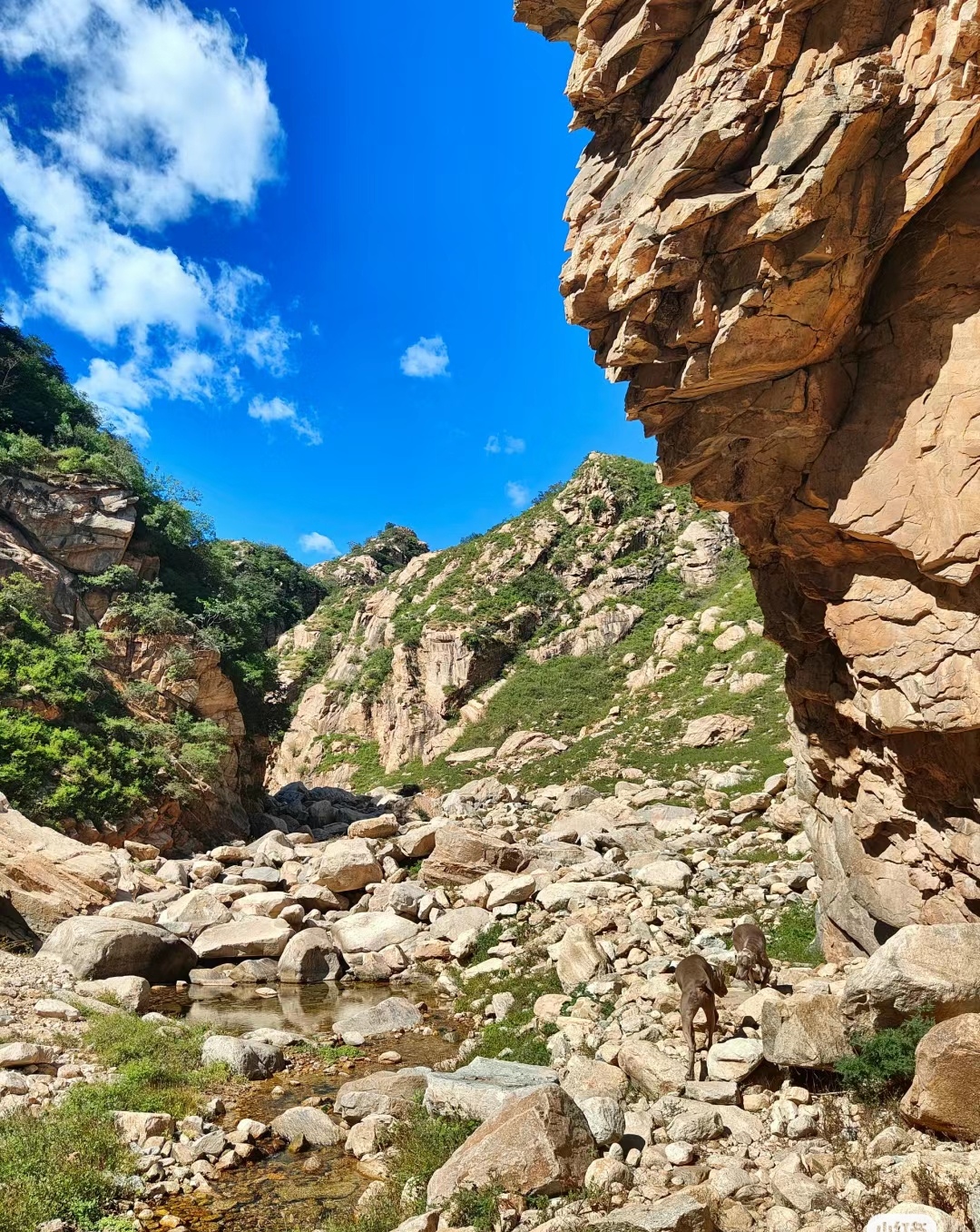 云蒙三峪白道峪的美丽风景让人沉醉其中,它是大自然的杰作