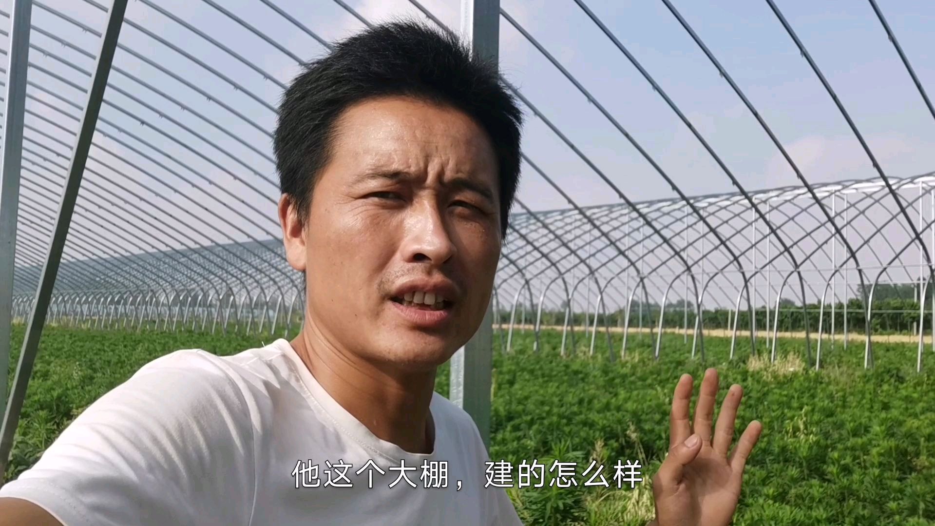 农民借钱投资的蔬菜大棚,准备靠它发家致富,没想到一阵风刮倒了