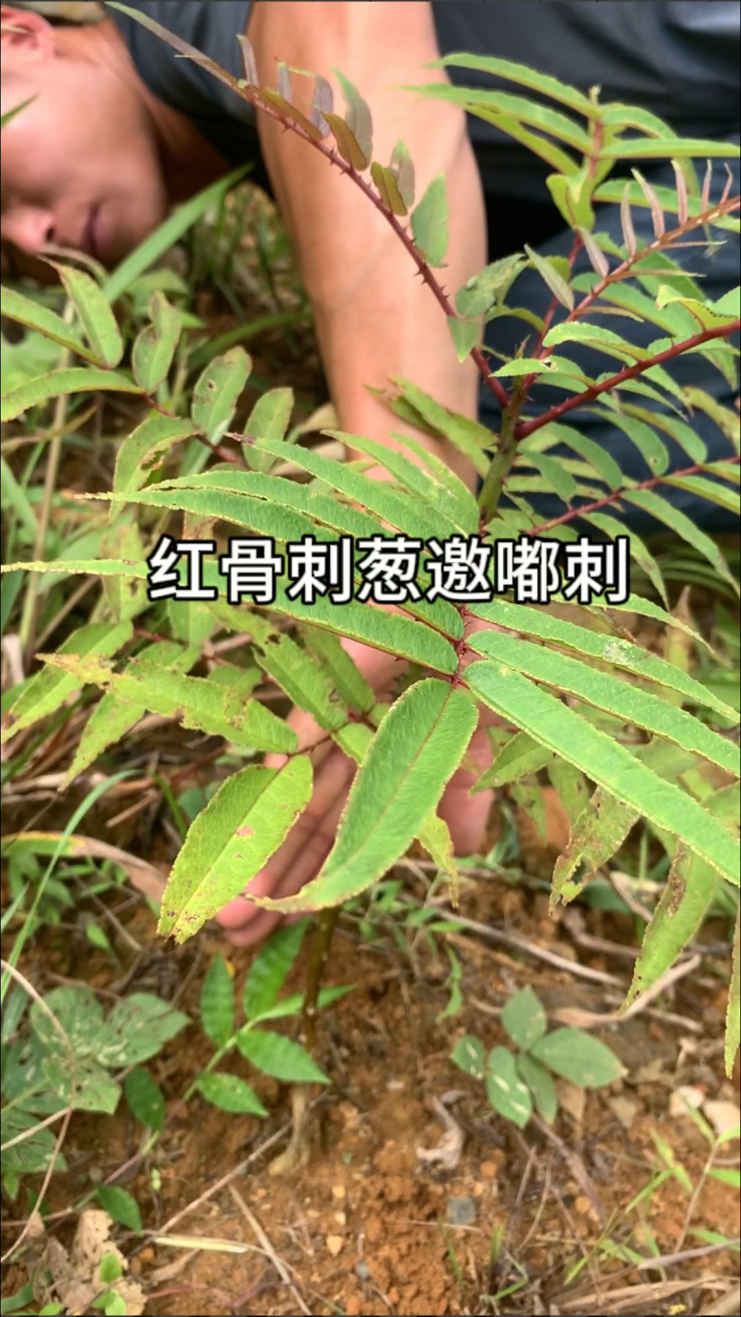 好多人都不认识,价值却那么高.