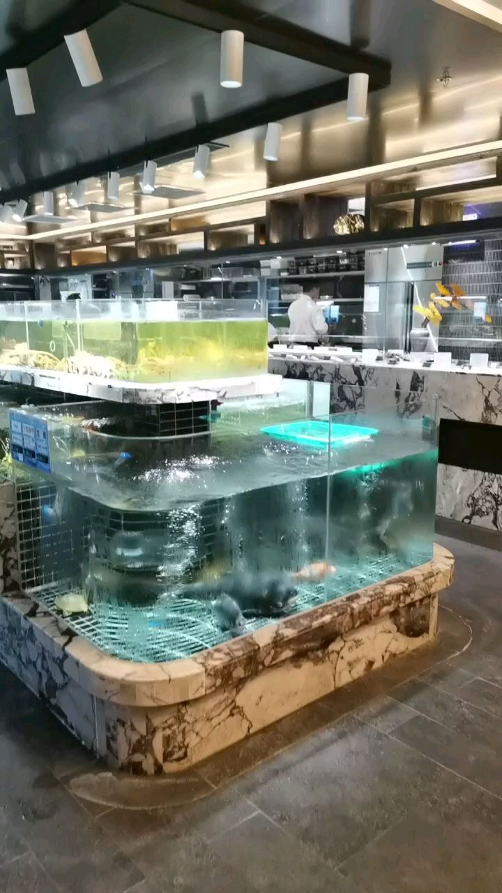 酒店海鲜鱼缸设计制作 杭州定做海鲜池 杭州定海鲜缸 定做饭店鱼缸
