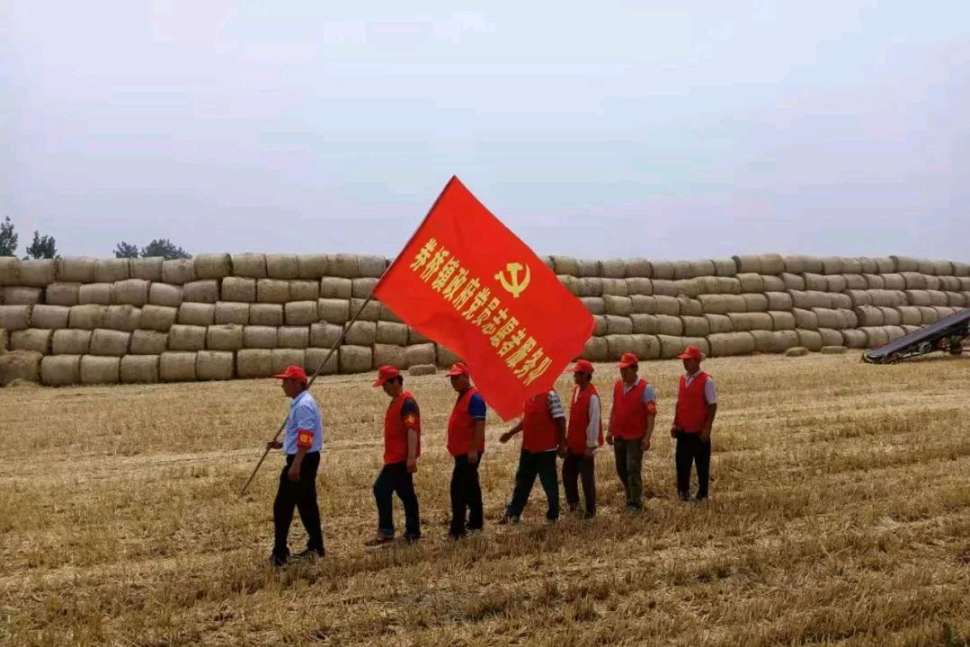 方城县券桥镇:流动党员离乡不离党,一面旗帜"两地红"