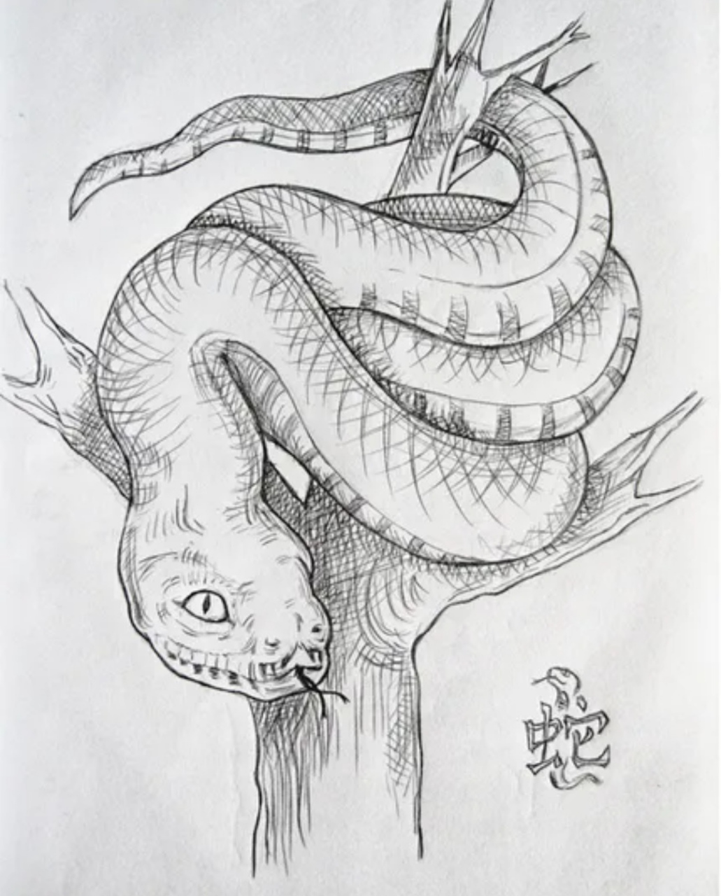 民间故事:农夫盖新房,青蛇半夜托梦:别盖了,房子盖好你必死清朝乾隆年