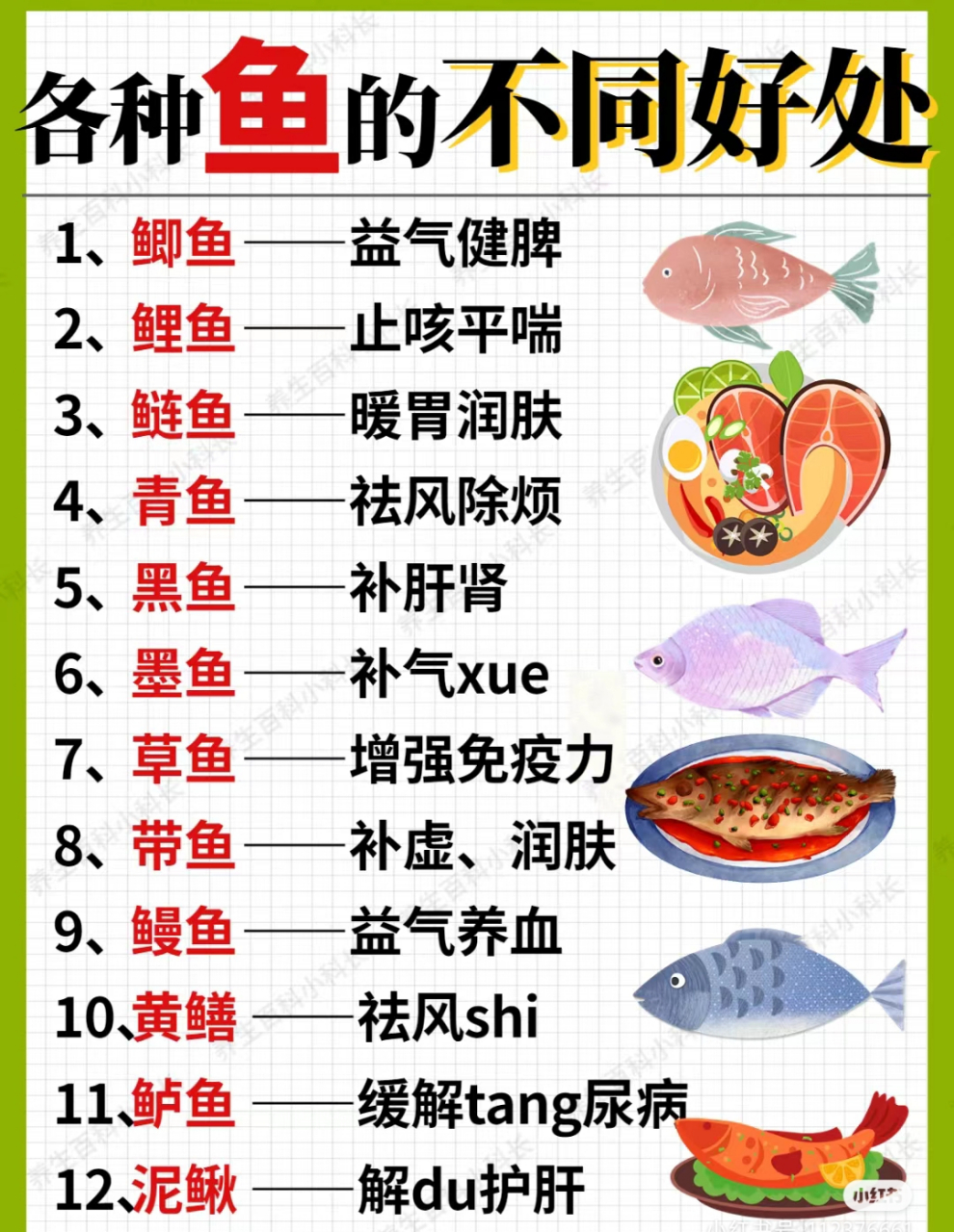 吃鱼也有讲究,各种鱼的不同好处给你啦