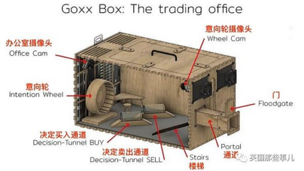 一只炒加密货币的小仓鼠 业绩打败了人类