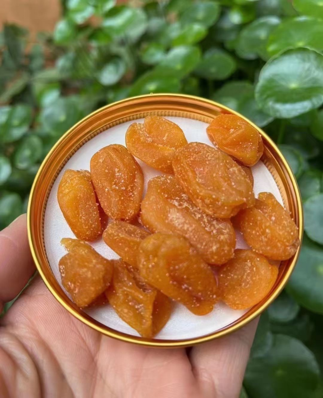 93竹蜂盐黄皮干93  醇厚的黄皮果味,比新鲜黄皮更浓郁,咸甘不涩口