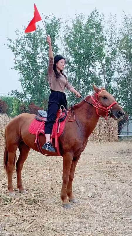 美女骑马精彩瞬间"温血马""纯血马""半血马"-度小视
