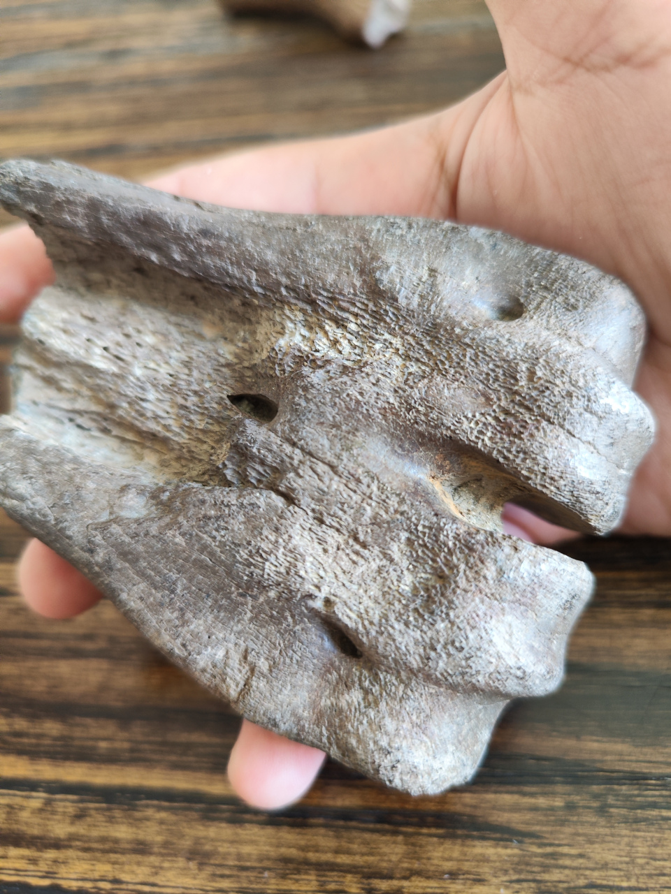 其中图一是玉化最好的一个,重量较大并且富有光泽.