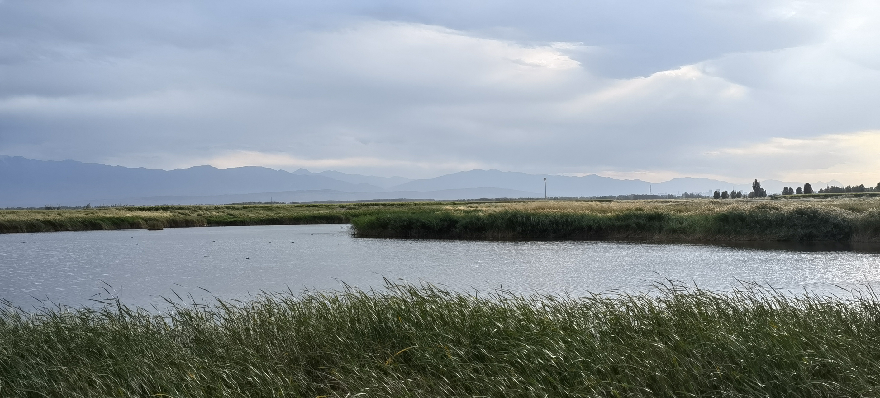 醉美酒泉—湿地公园