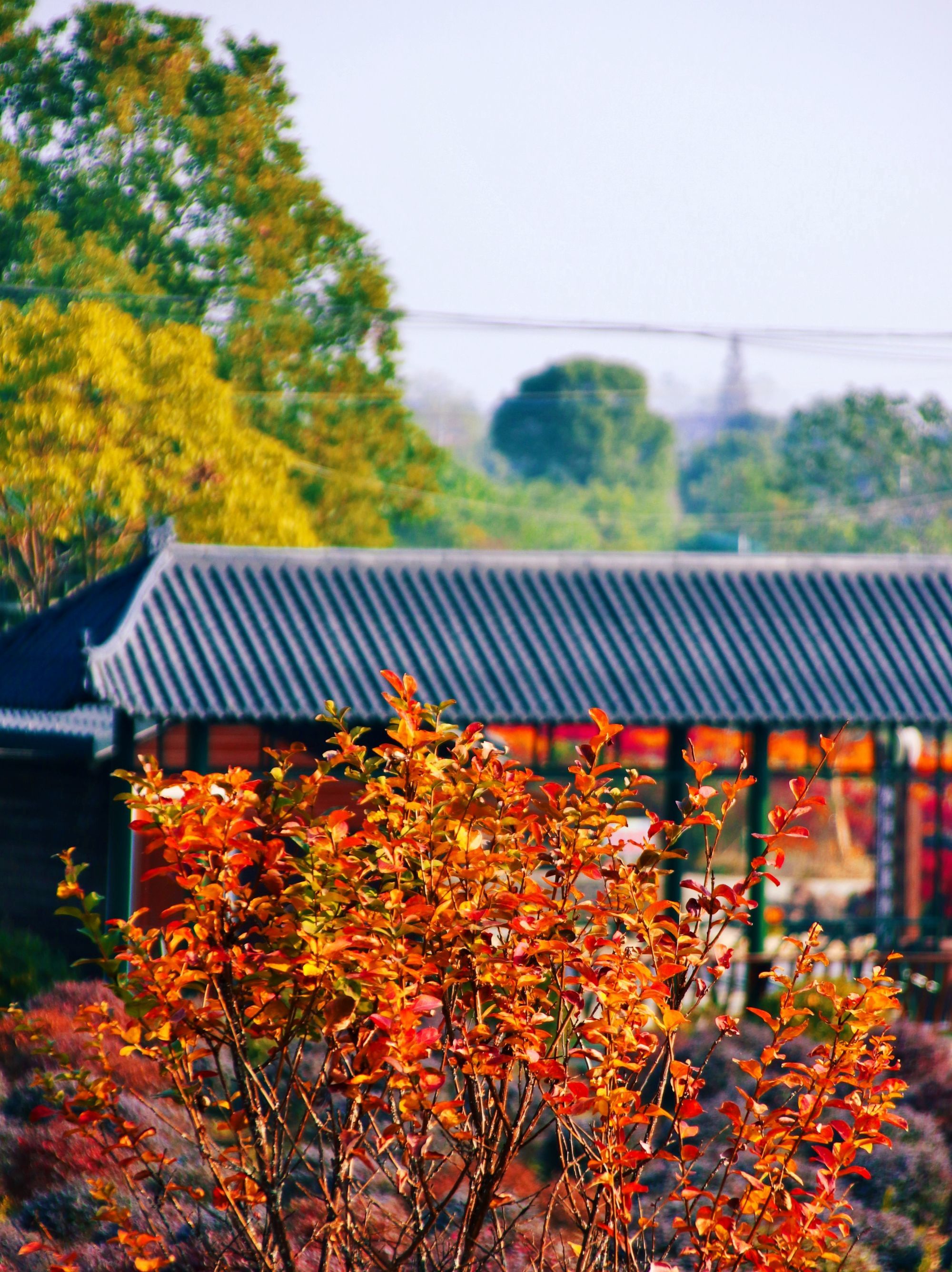 八岭山铜铃岗图片