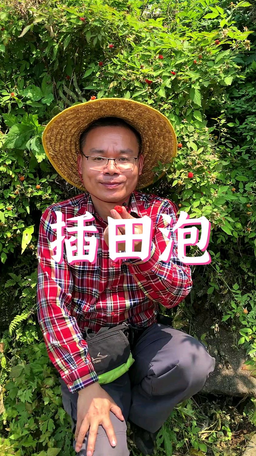 插田泡又叫山莓,插秧季节的美味野果,和它外形相似的果子还有很多