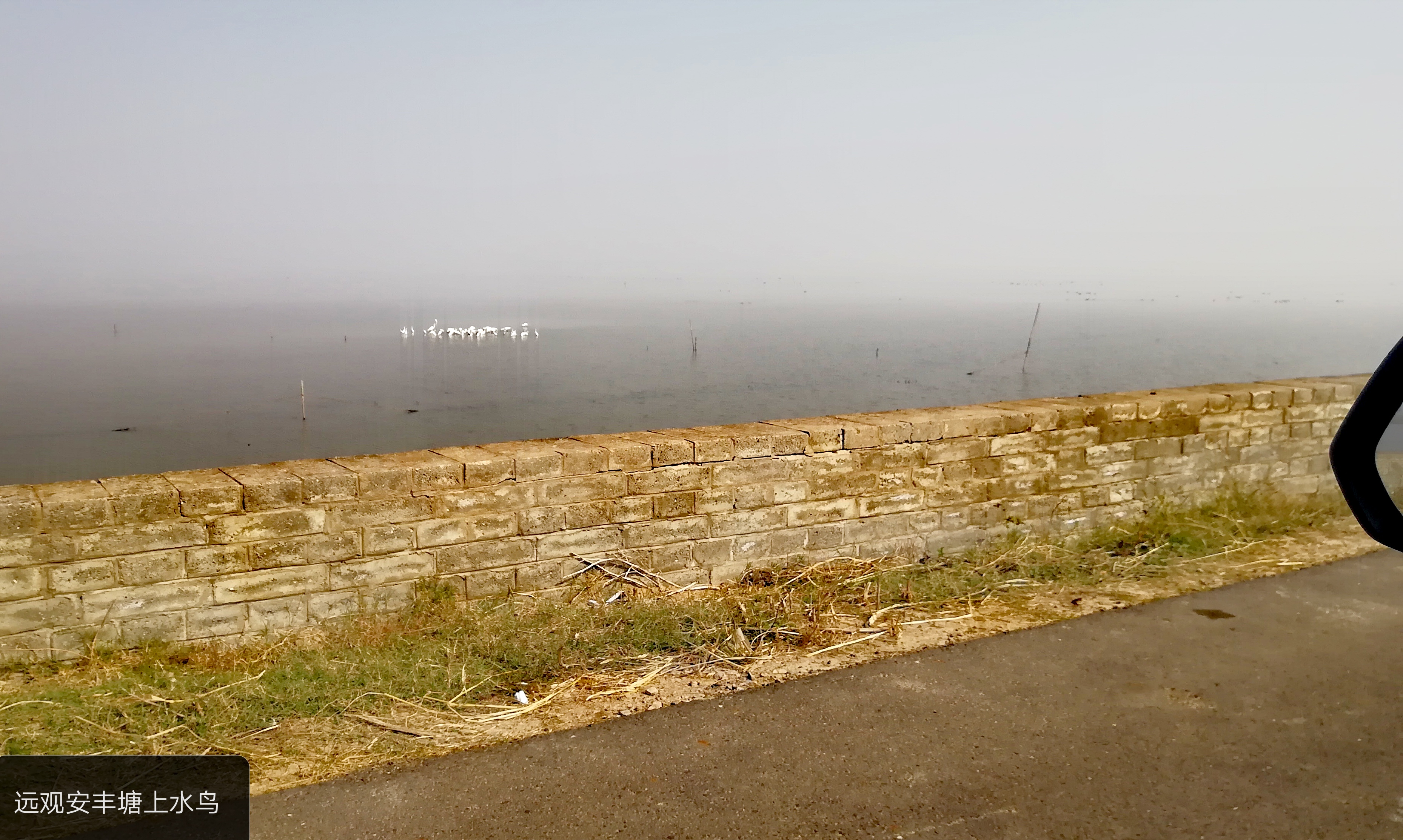 恩泽万代的安丰塘