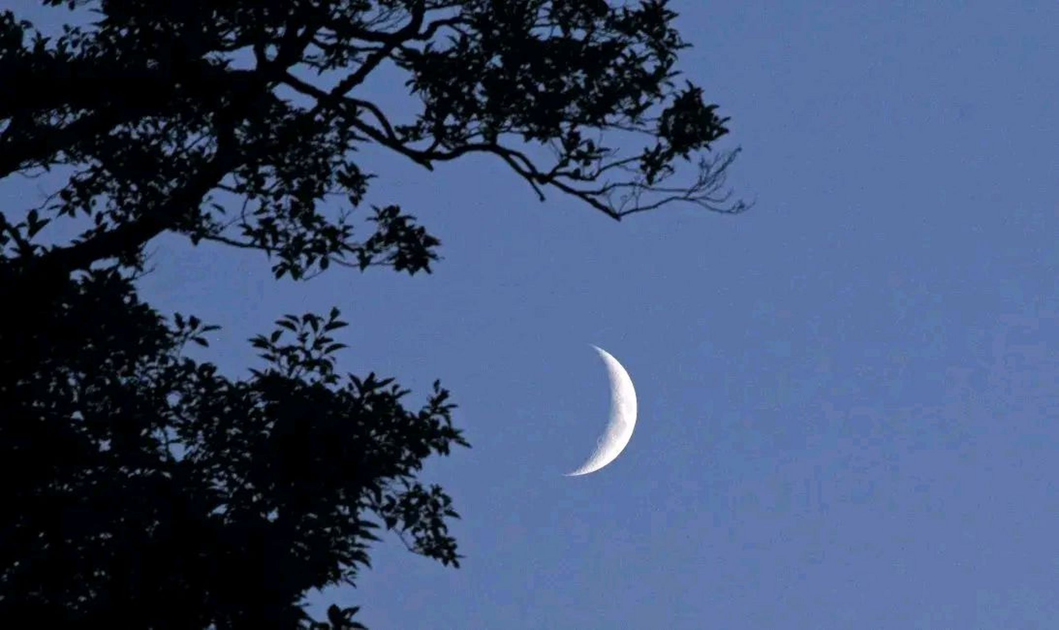 上联:弯月如眉情脉脉 下联:敬请赐对