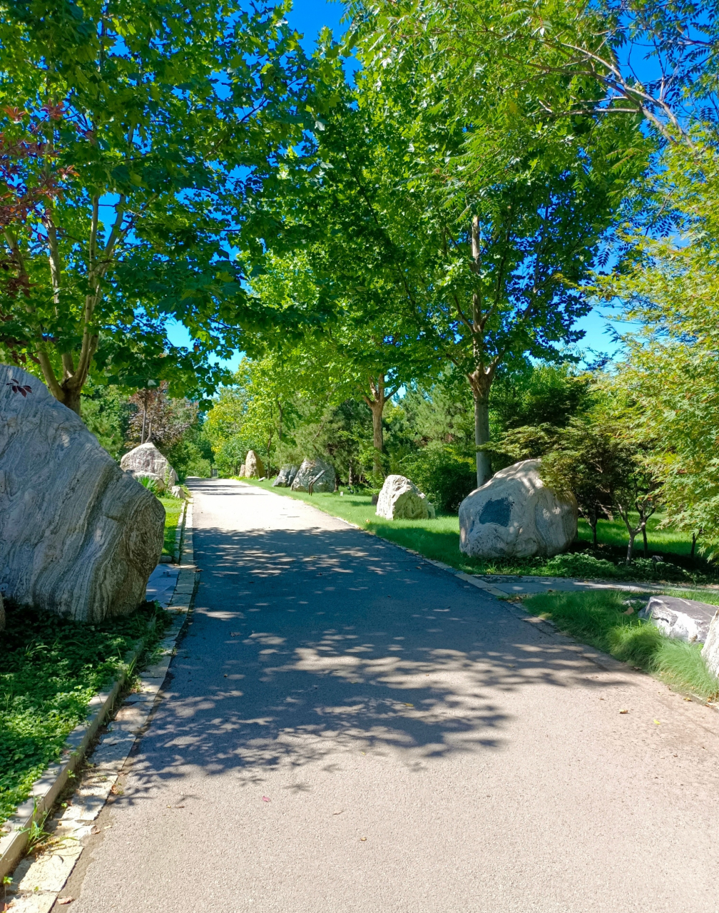 唐山植物园,诗林广场,很安静.