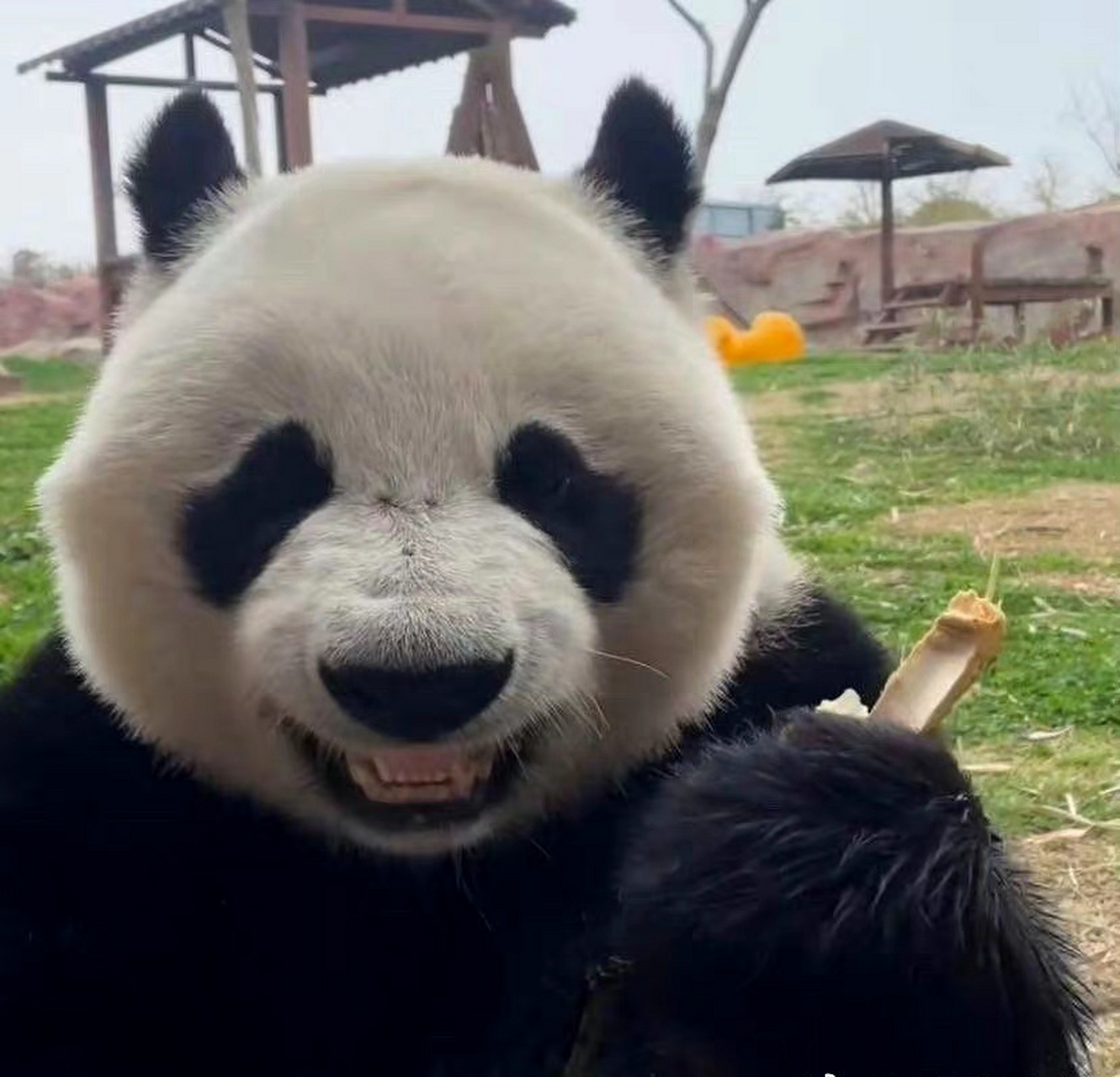 给爷乐一个[坏笑]