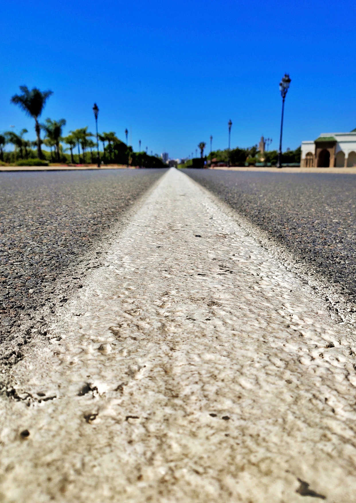 摄影人必学的摄影三要素:为你送上摄影构图实用技巧