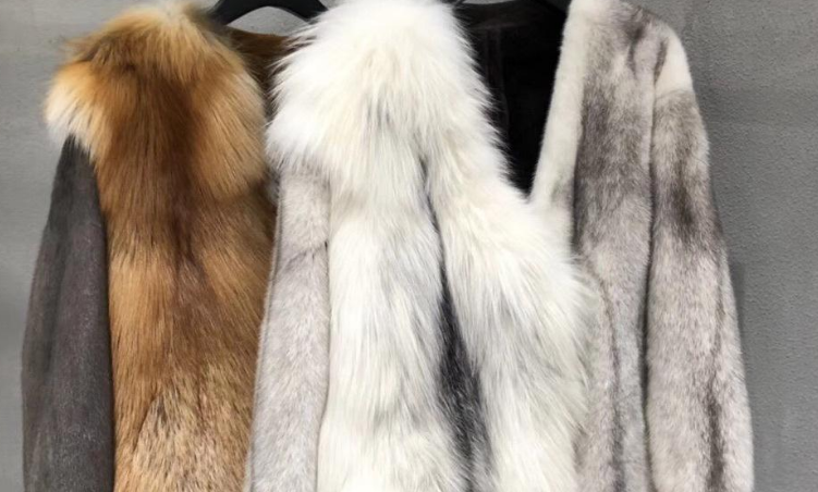 欧貂是真貂毛吗