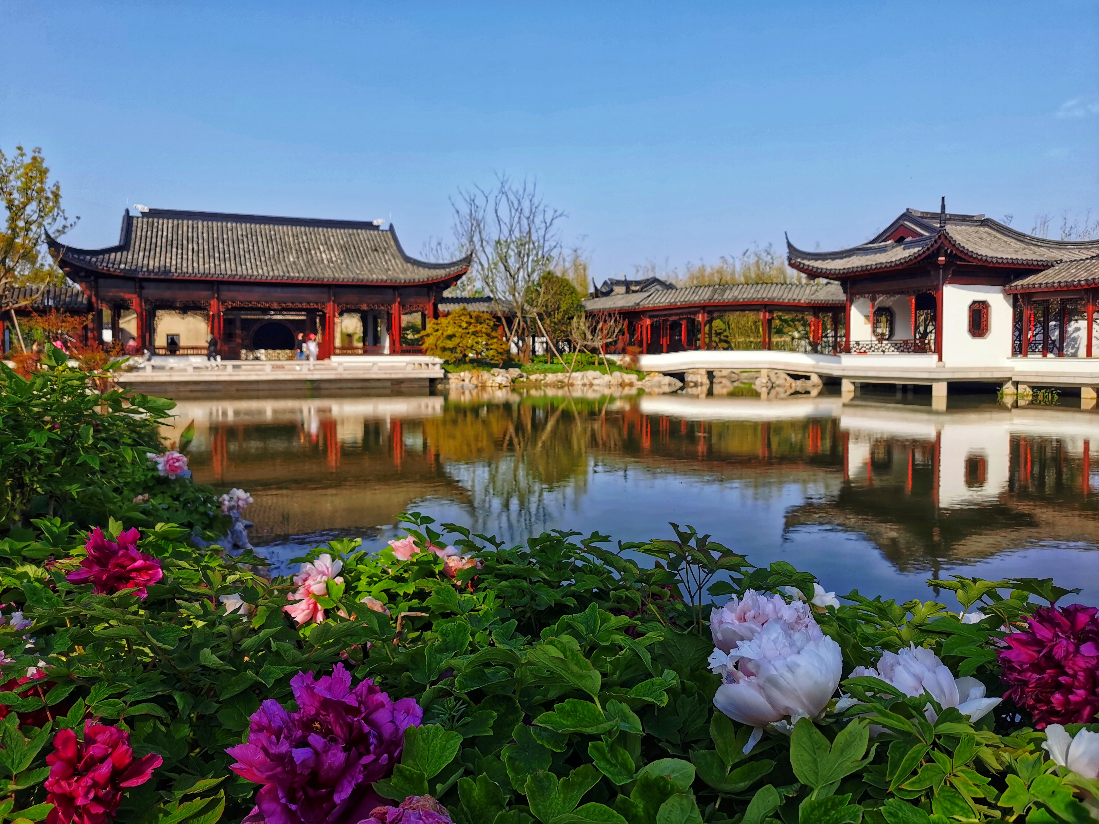 上海滨江森林公园二期内,园林结合保留的中西合璧的历史建筑凌桥杨氏