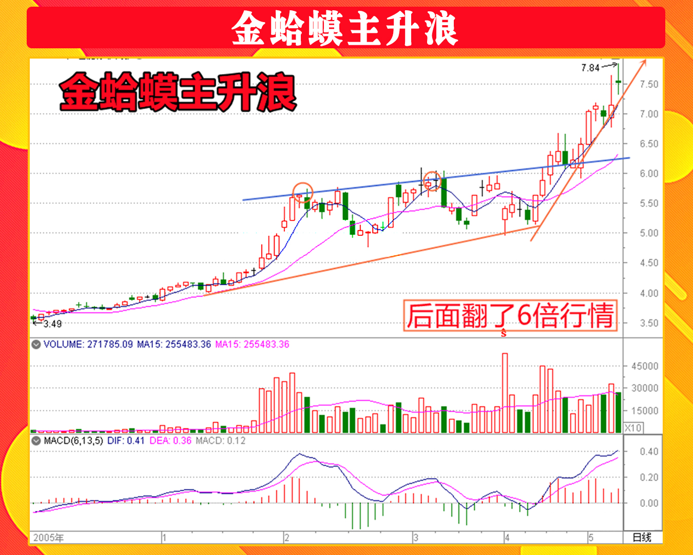 金蛤蟆形态能涨三倍图片