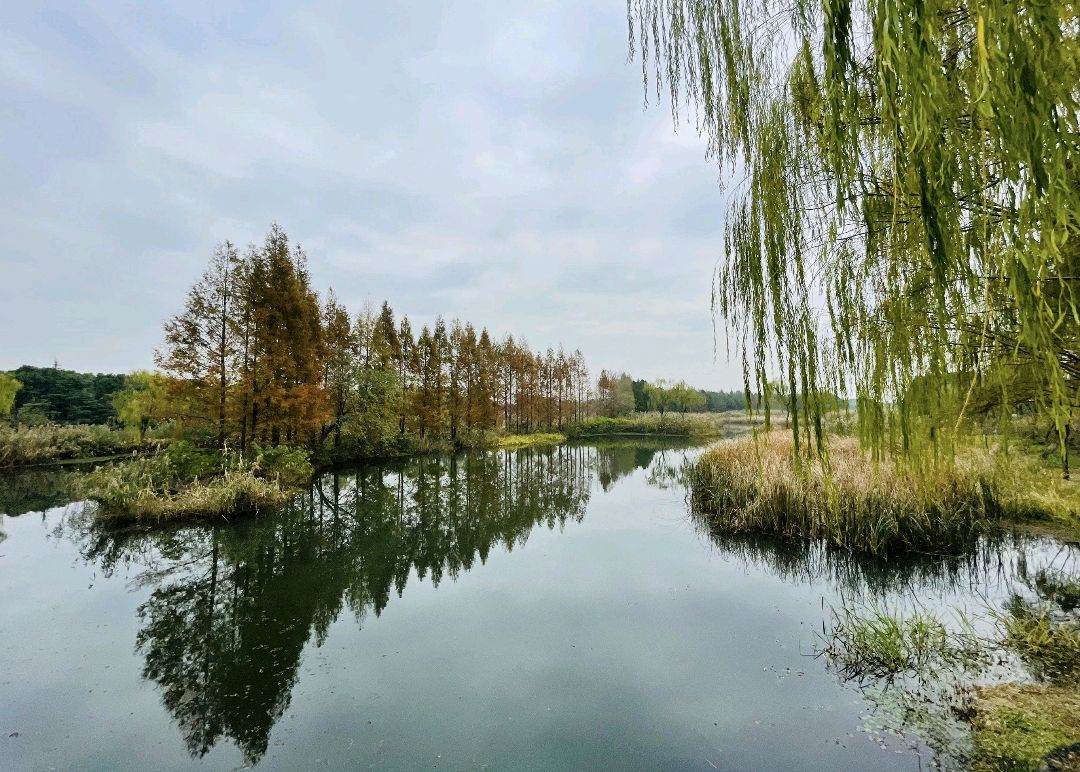 苏州.虎丘湿地公园