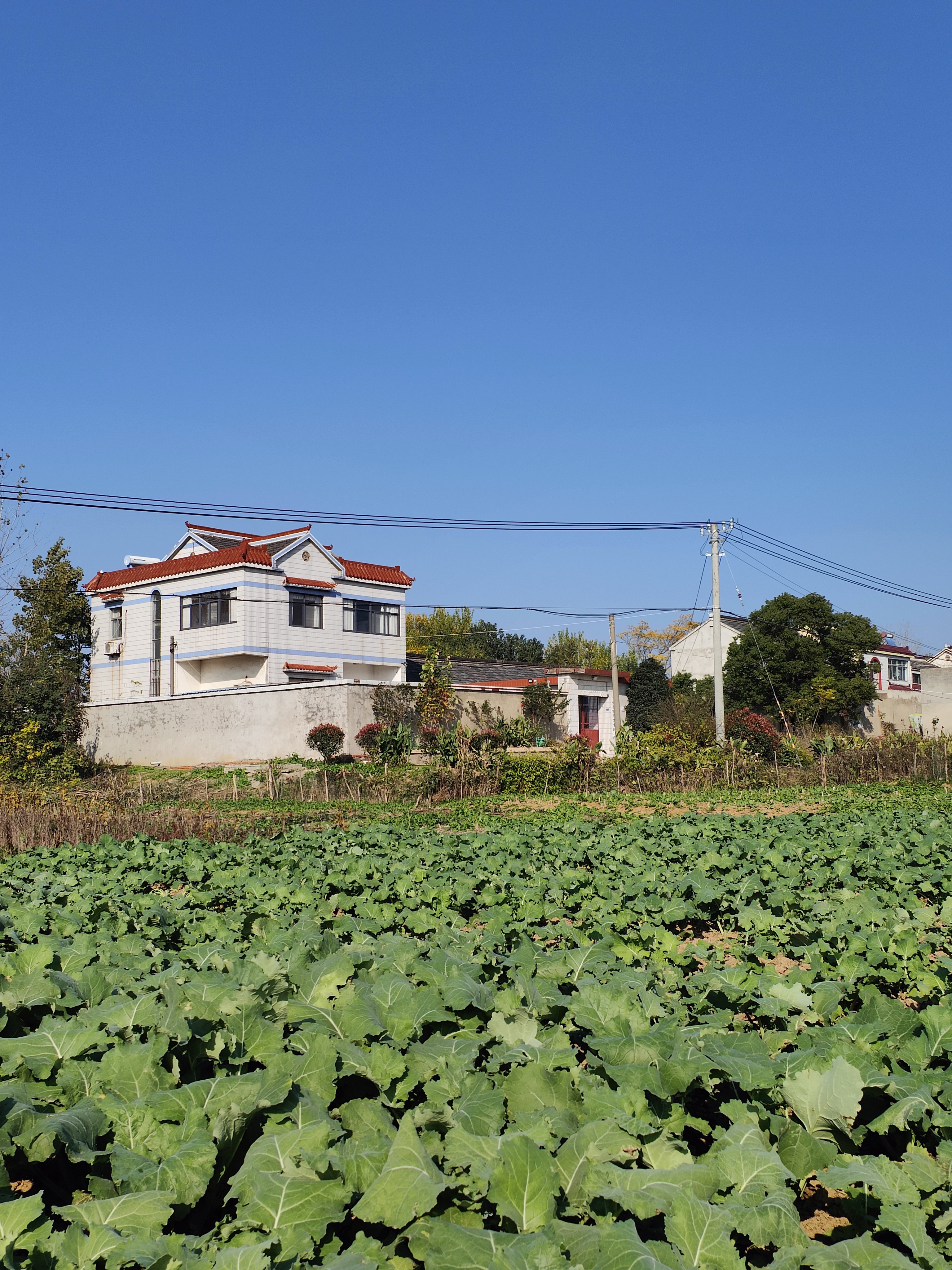 六合竹镇枫彩漫城周边的美景