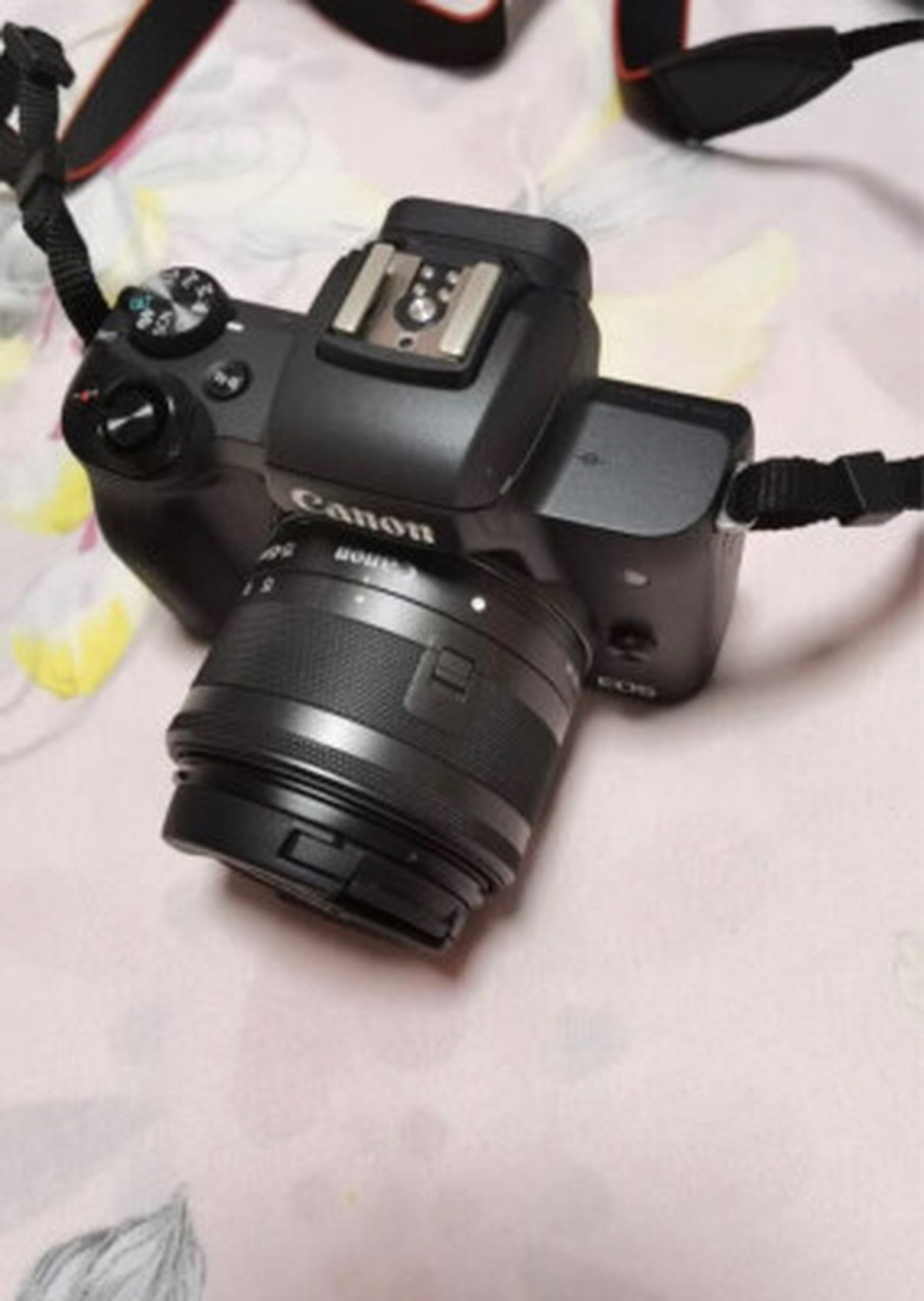 佳能m50拍照对比a6000,佳能eos m5和m50的区别  佳能m50其实也还可以