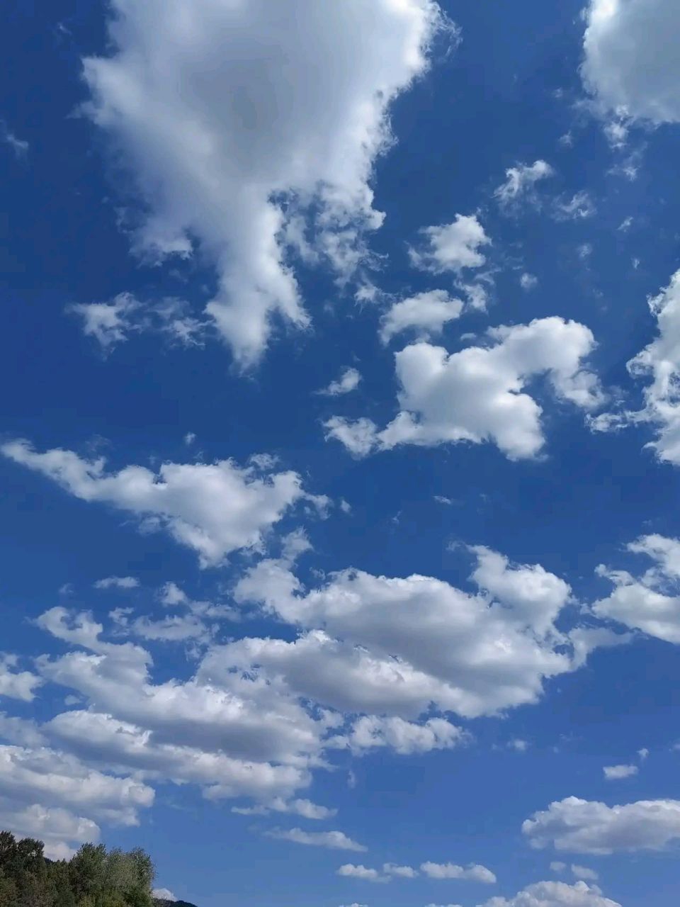 猪八戒贪吃好色, 沙僧老实平庸, 但他们却没有戴紧箍咒, 孙悟空不贪吃