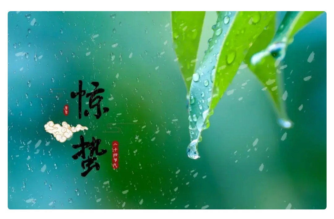 夜雨敲窗,春深一寸,時至驚蟄,楊柳堆煙,花枝滿春