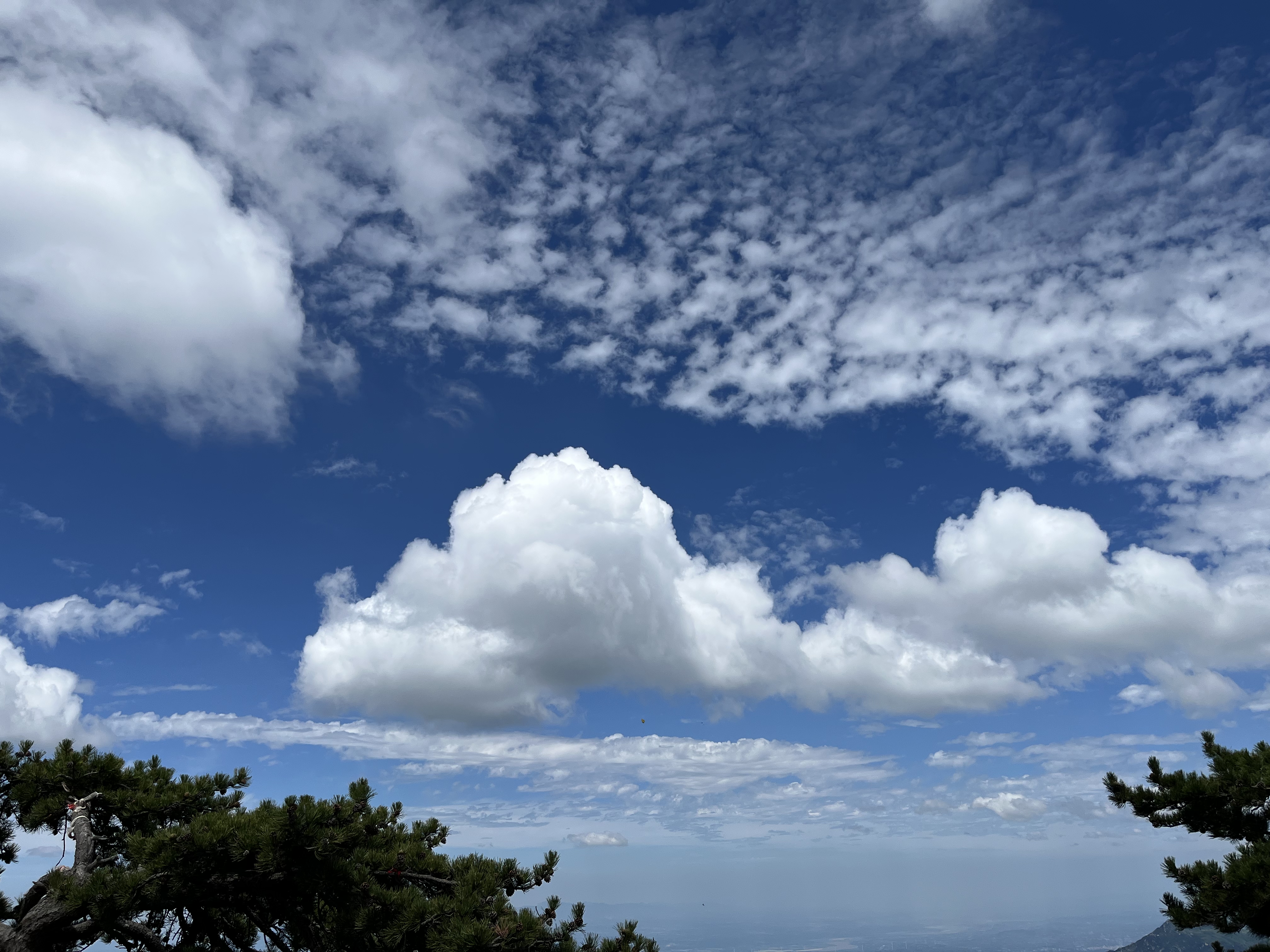 华山景区太美了,蓝天白云绵延群山,景区免门票人太多