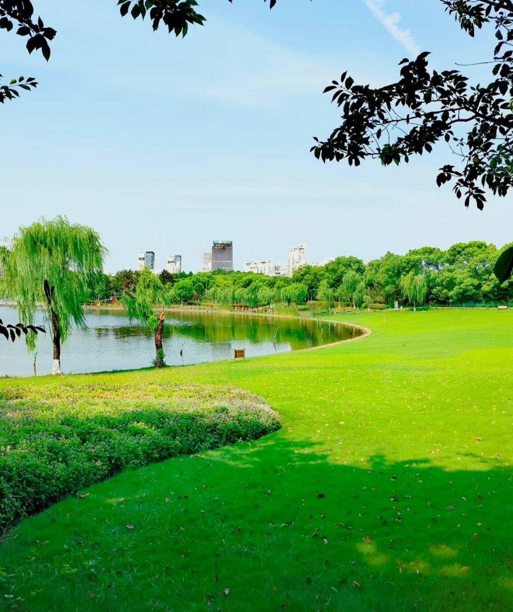 上海黄兴公园令人沉醉其中