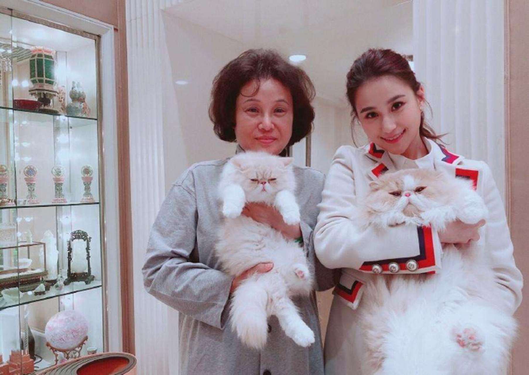 三房陈婉珍分得赌王65亿家产,她告诉女儿何超莲:"这些钱足够花了,结婚