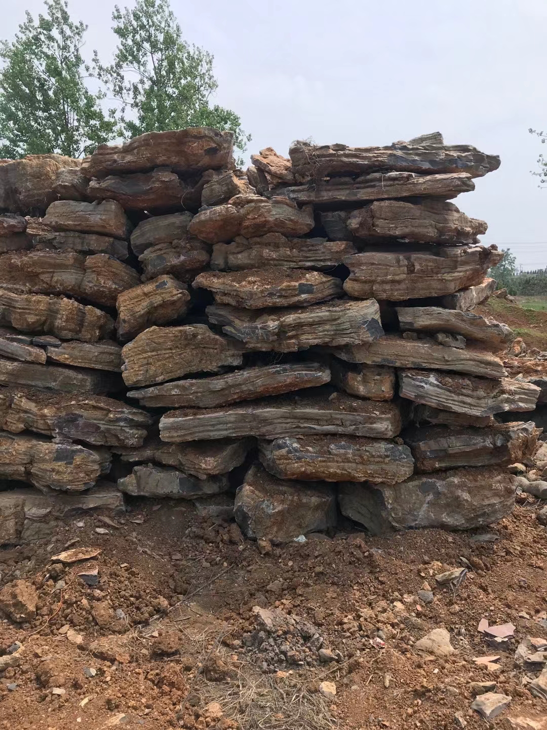 千层石价格,千层石多少钱一吨,千层石假山,安徽千层石