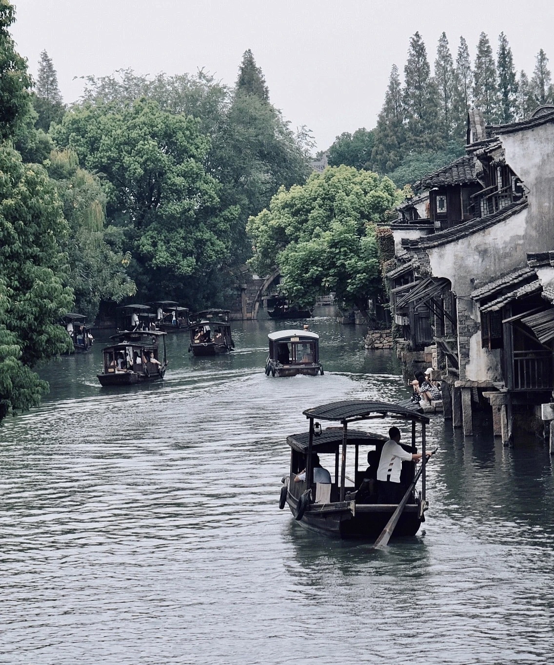 诗意江南烟雨中