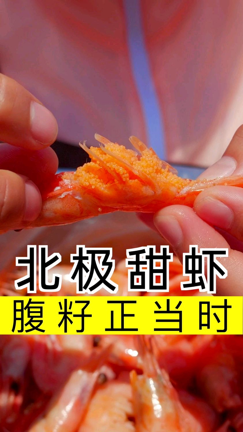 吃腹籽北极甜虾的季节,常温解冻就可以吃.-度小视