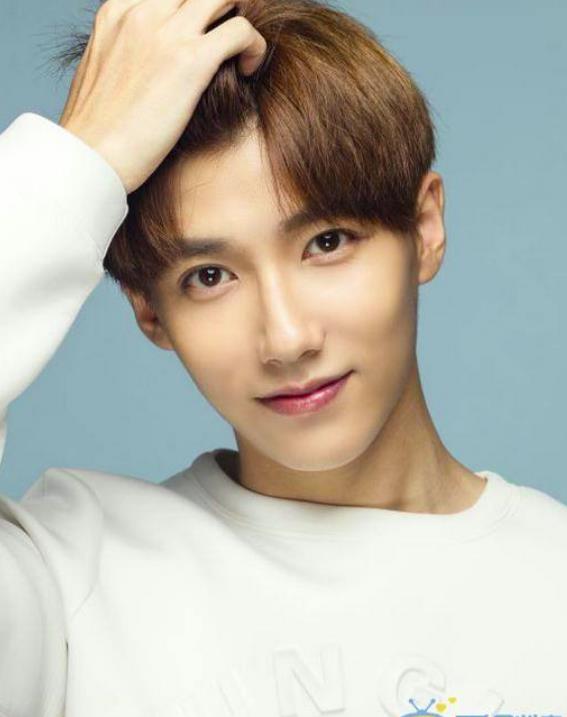 贾征宇