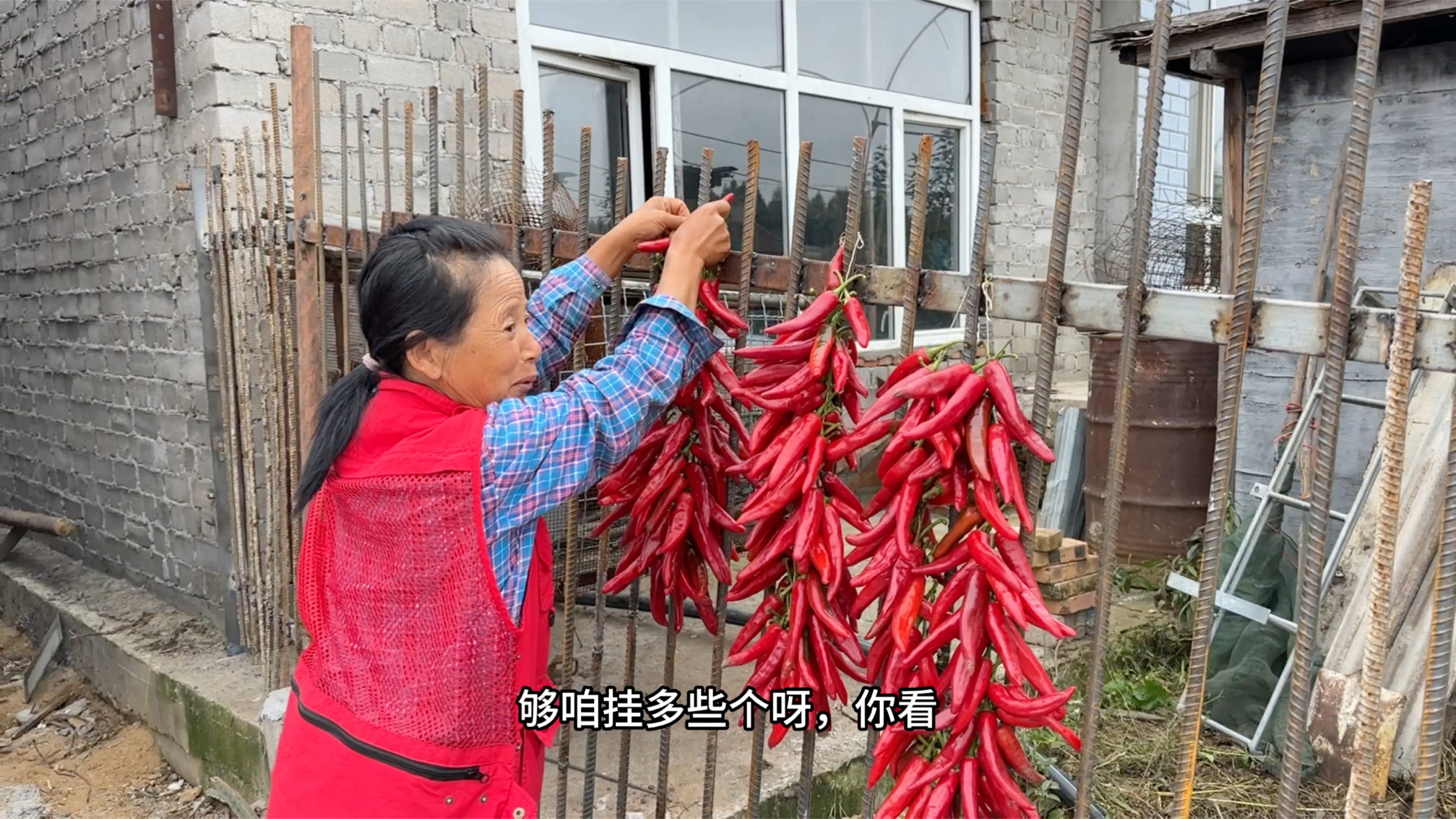东北老妈和二姨串红辣椒,晾干留着冬天炒菜,养的小鸡够份量吃了