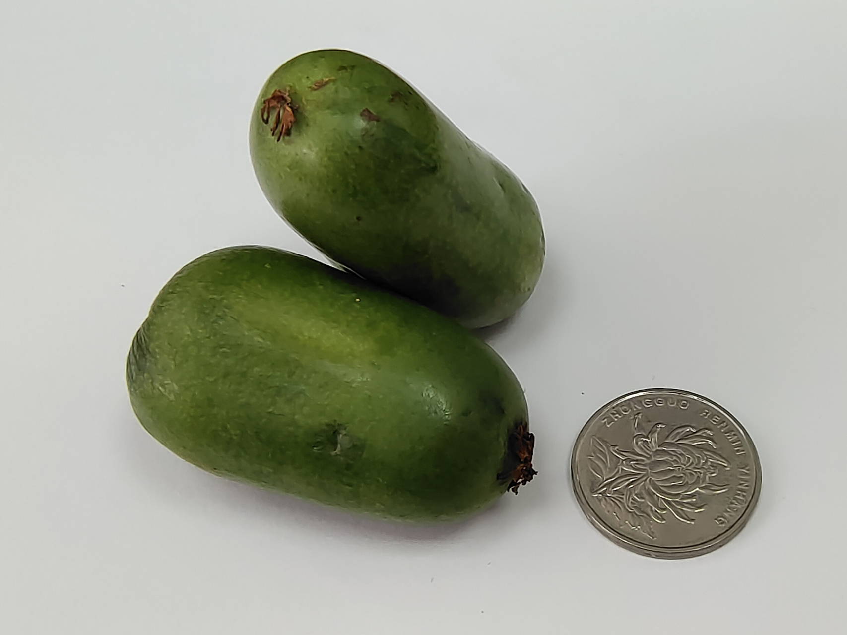 超迷你"冬瓜",有吃过的吗?