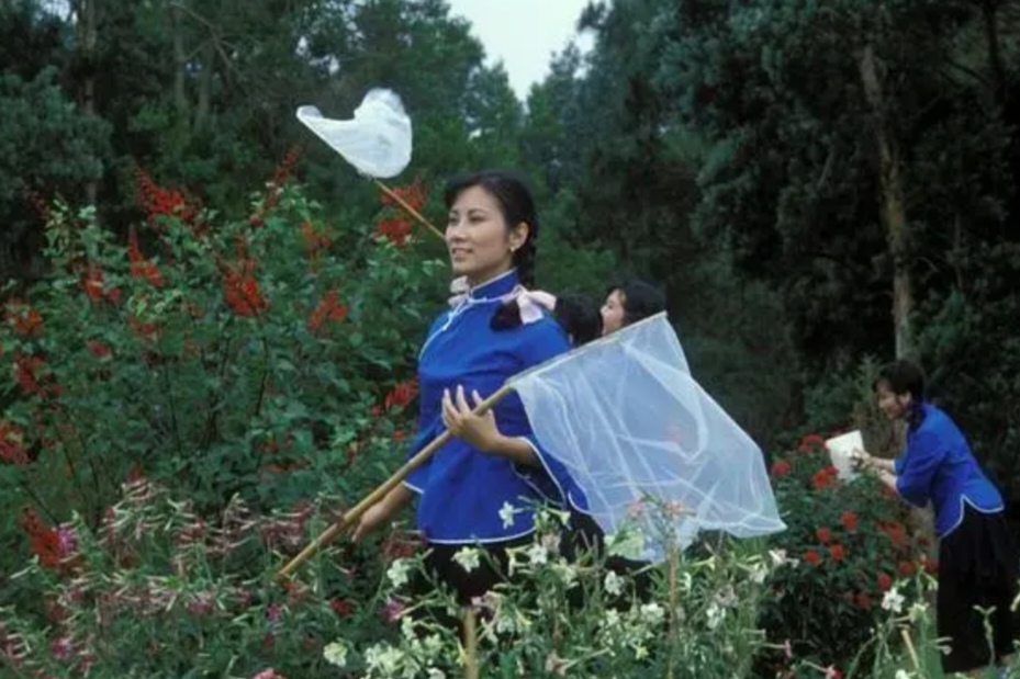 汪明荃劉松仁的《京華春夢》劇情精彩回顧,結局催人淚下痛徹心扉