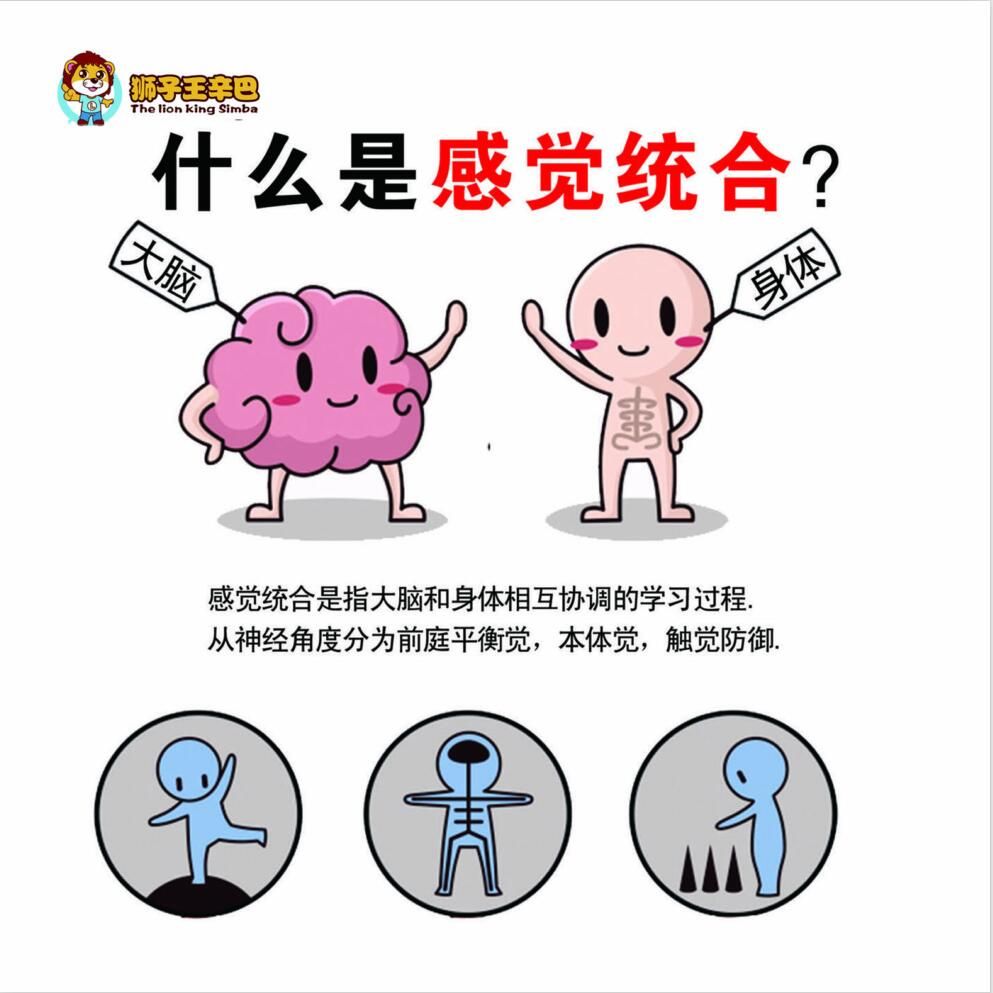 想要孩子学习好,你必须要了解什么是感觉统合!