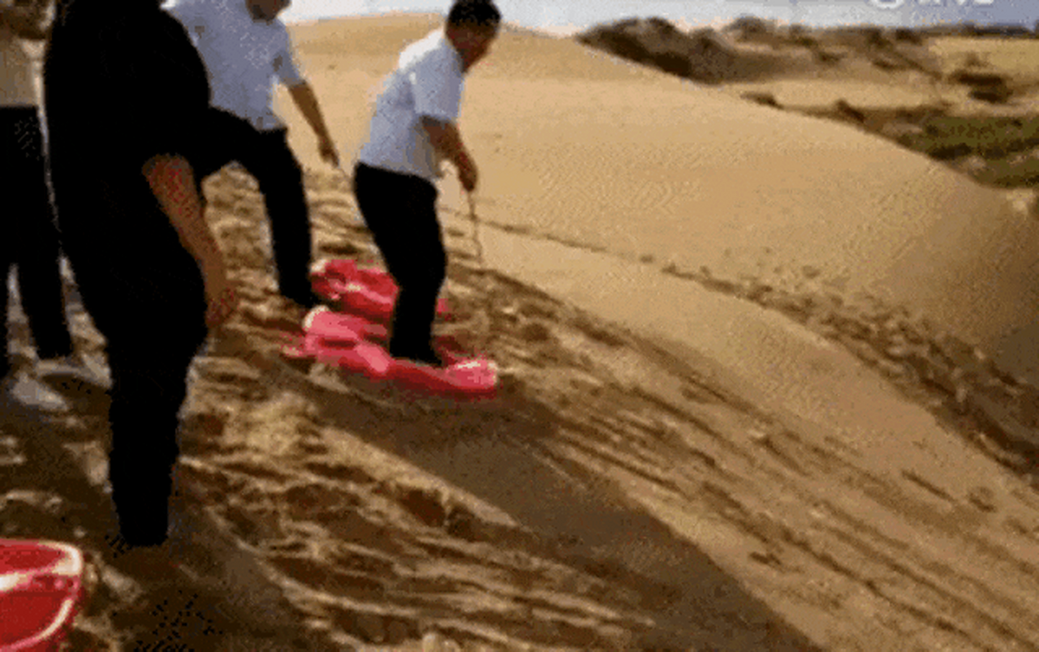 陪领导视察拟开发的滑沙游乐项目,然后就没有然后了.