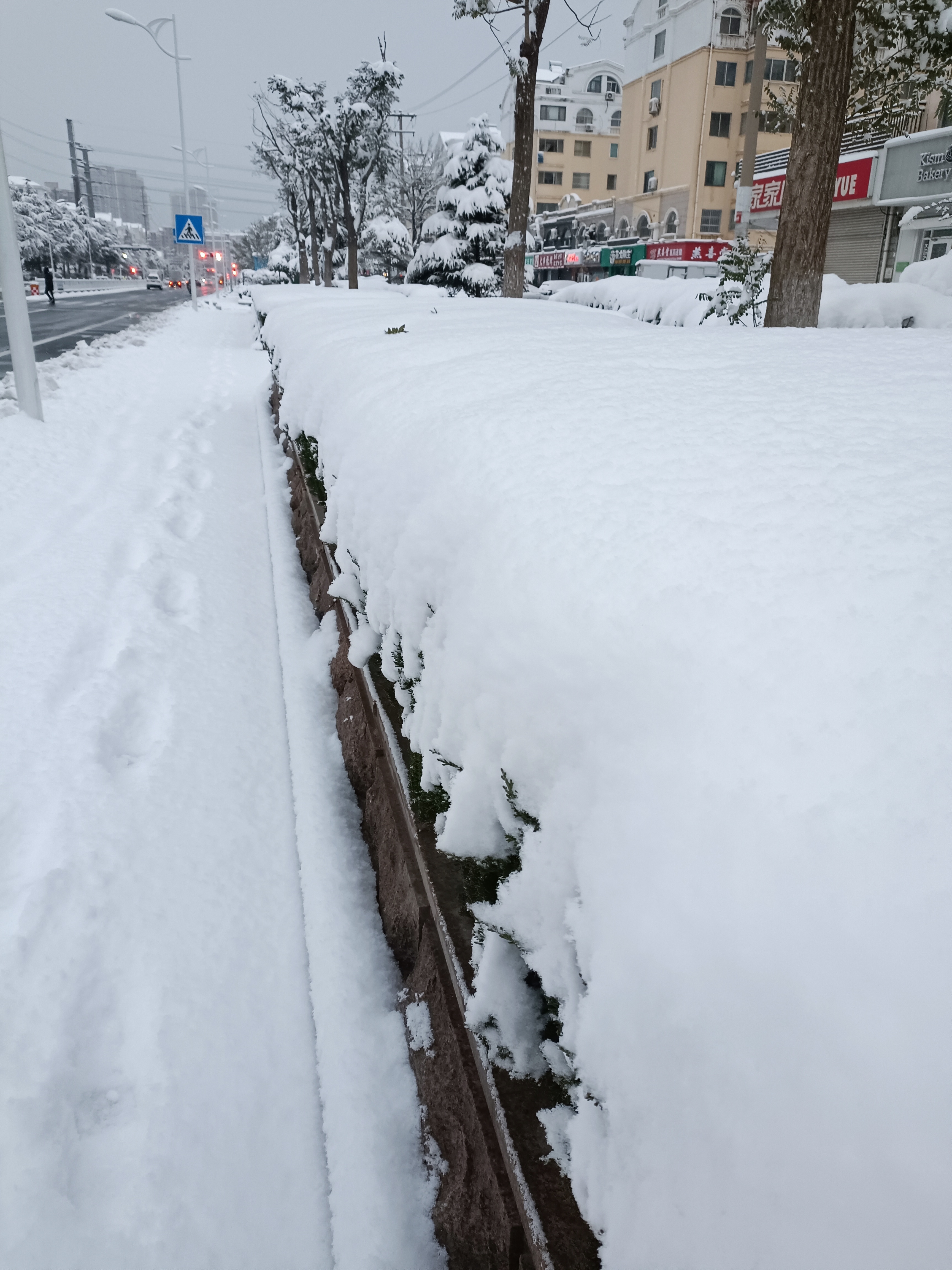 下大雪照片图片