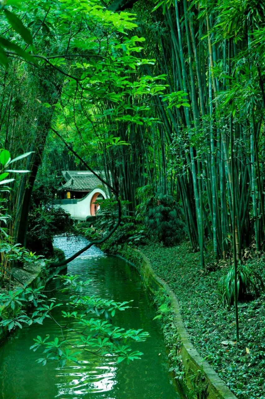 上联:夏日凉风吹绿竹 下联:?友请