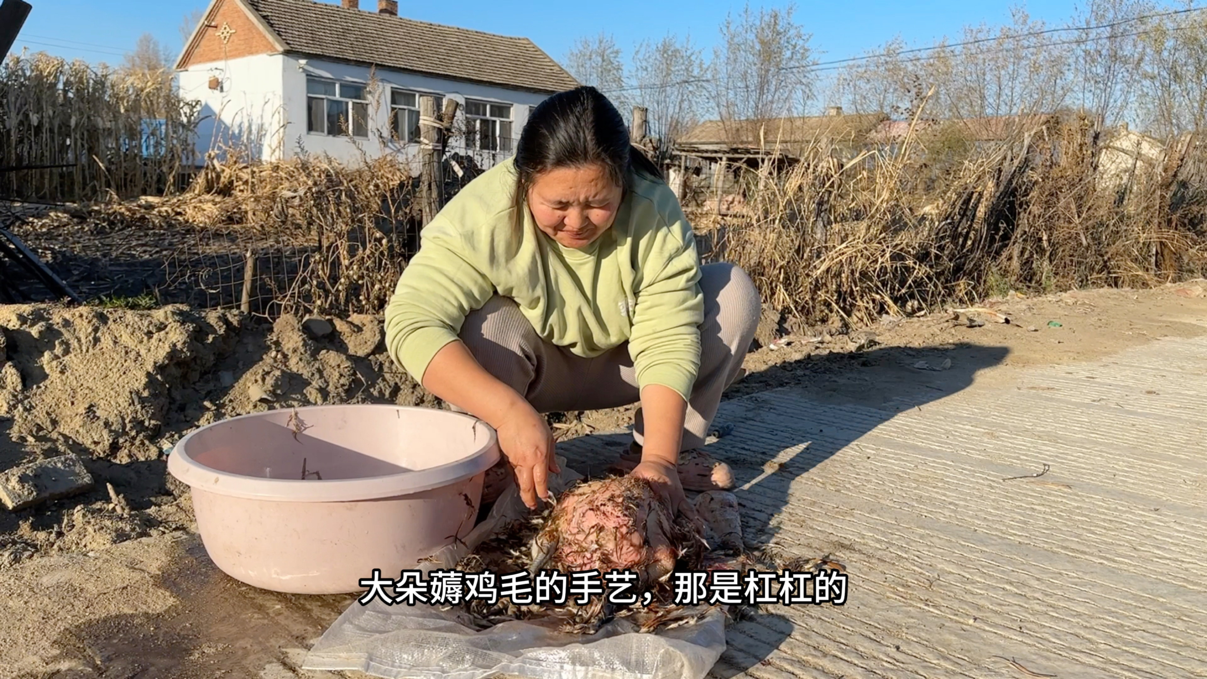 胆大的广西媳妇，杀鸡拔毛样样精通，东北爸妈拉柴火到家吃热乎饭