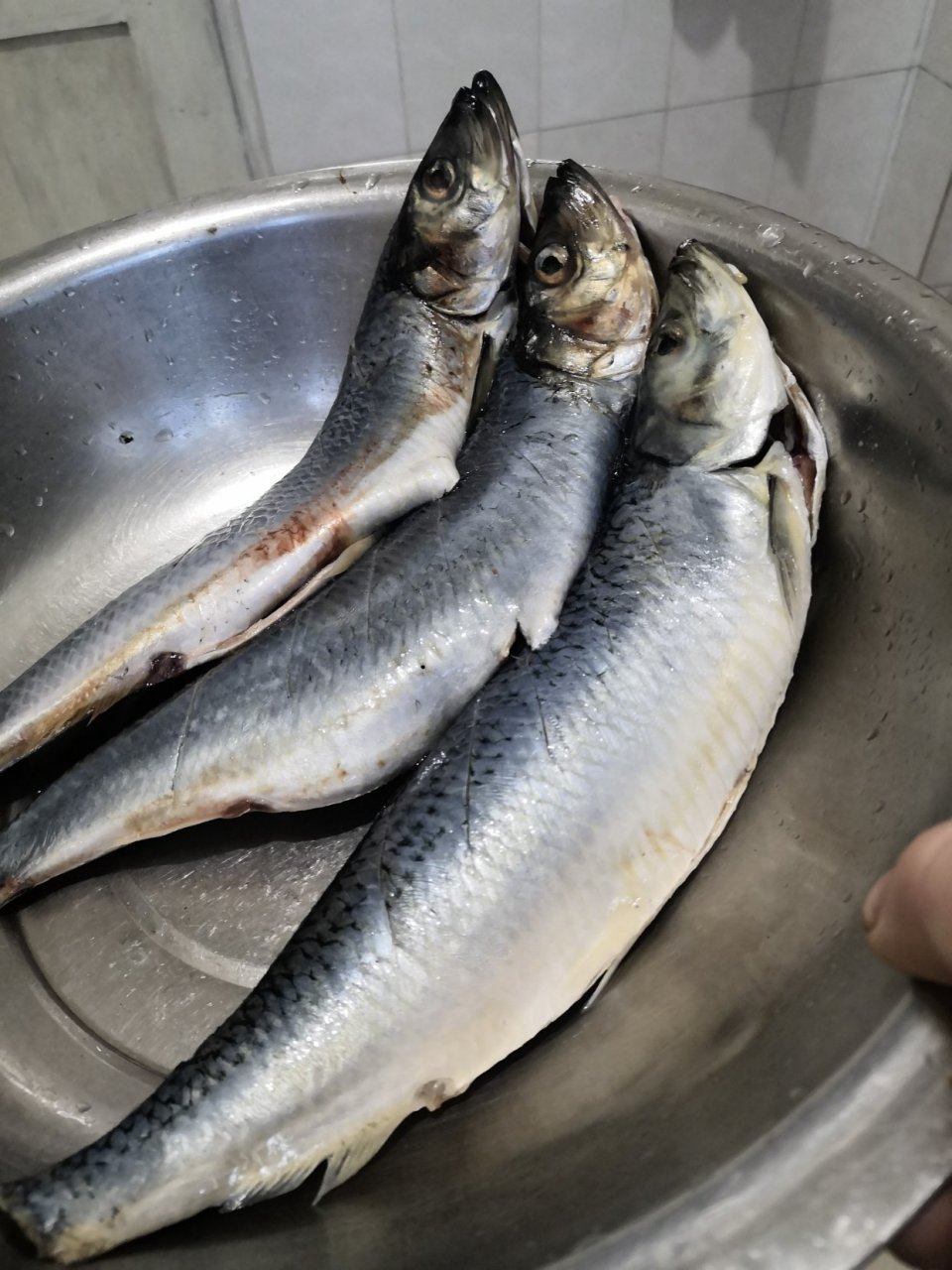 我做的这道红焖青鱼,也是常规做法,先煎后焖,最重要的一步是,加了